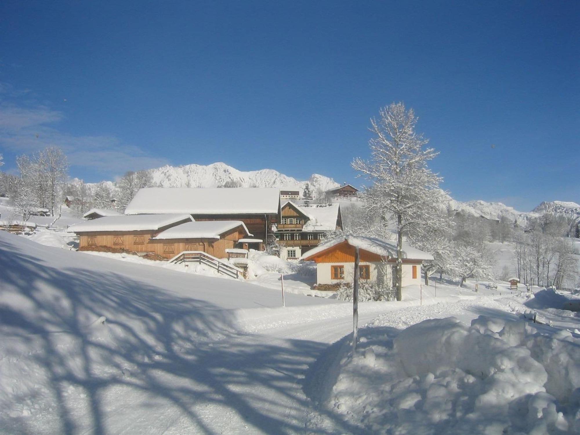 Cozy Holiday Apartment With Sauna In Schladming Schladming